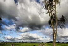 追寻篮球梦想的旅程中，每一场比赛都是挑战