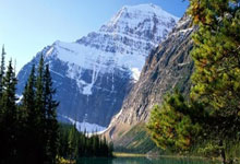 大華法的特蘭：錦標力拼全力爭取